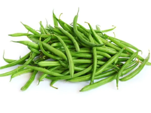 Beans Fresh Green