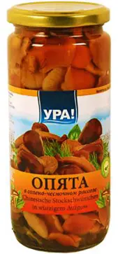 Ura Sarımsaklı Tuzlu Salamurada Mantar Turşusu 500 ml