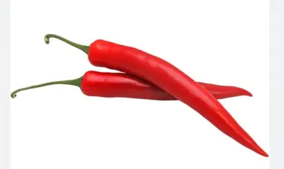 Peperoni Rot Chili