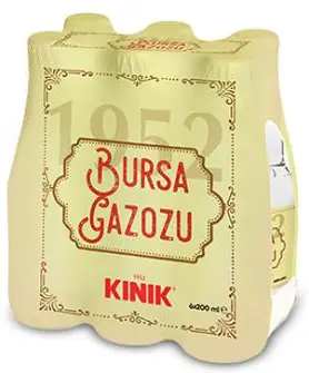 Kınık Bursa Gazozu (6 x 200 ml)