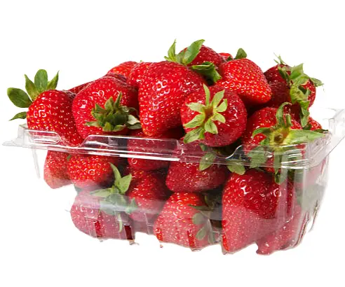 Çilek Paketli 500 g