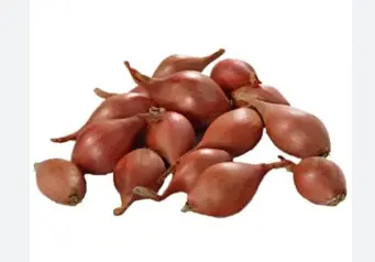 Onion Sets