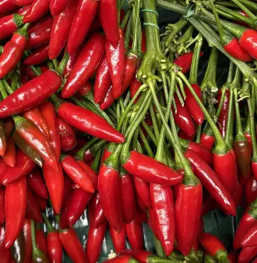 Peppers Haberno Red Chili Bunch