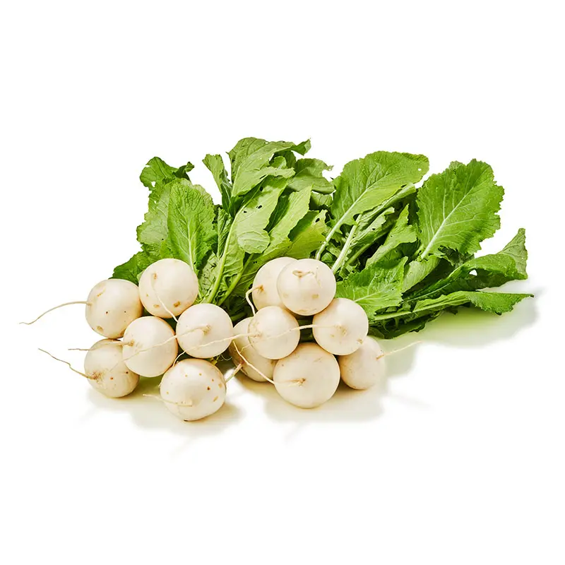 Turnip White
