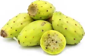 [GSAL102111329] Kaktusfeige Stück