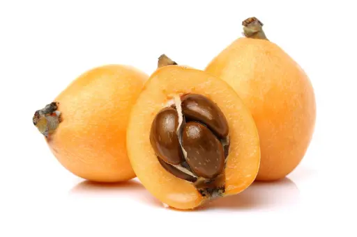 [GSAL102111343] Loquat